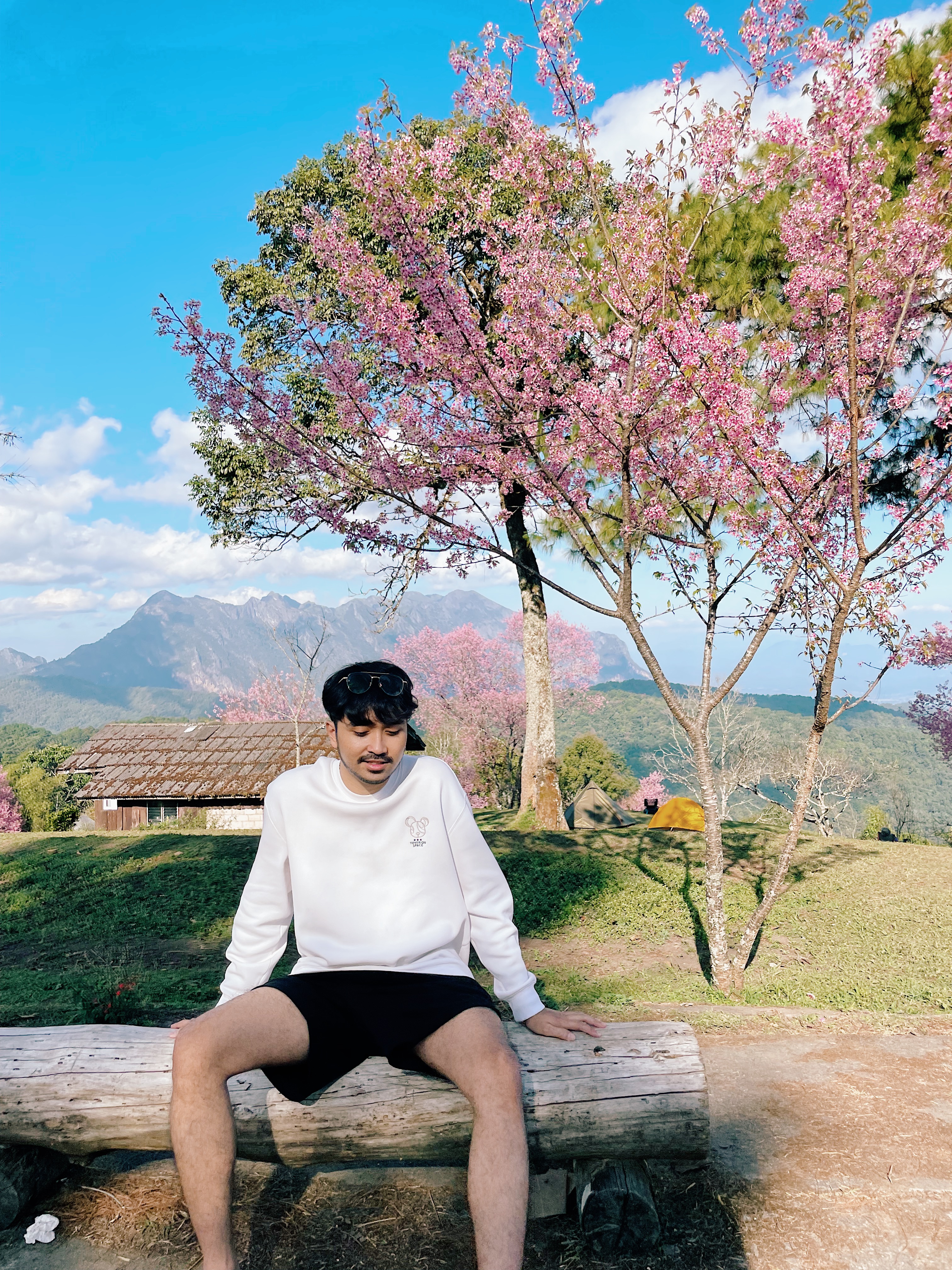 วัชวิศ วิริยะธรรม